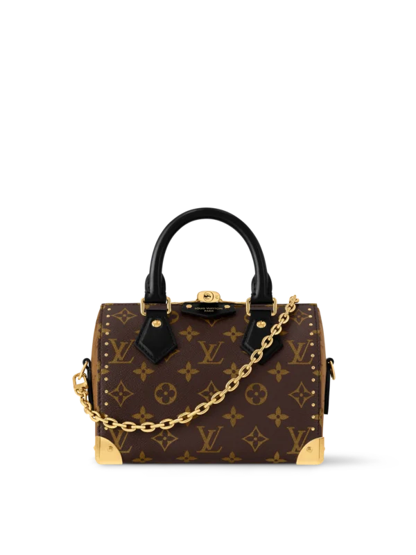 Speedy Trunk 20 - Monogram Canvas