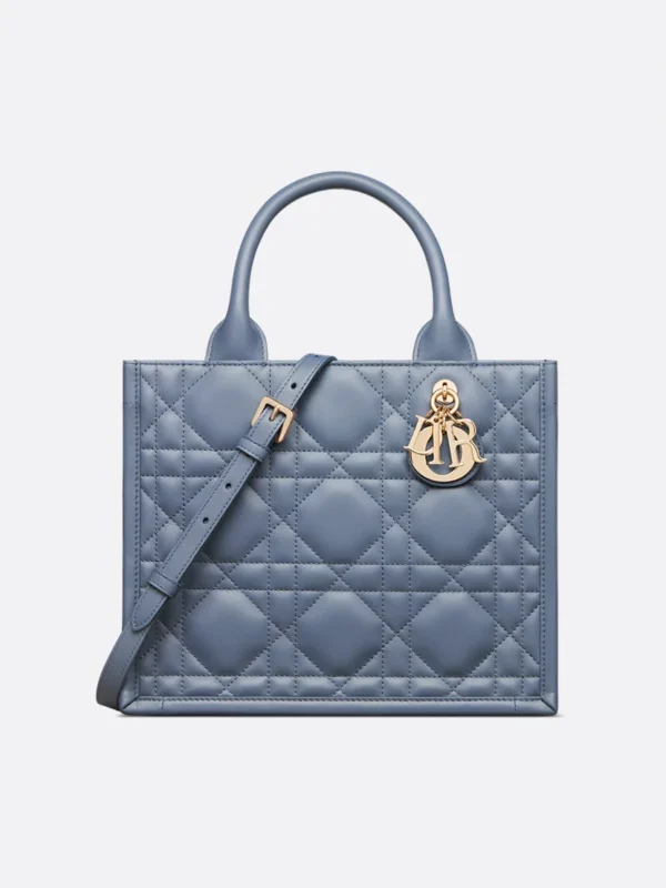Small Dior Book Tote