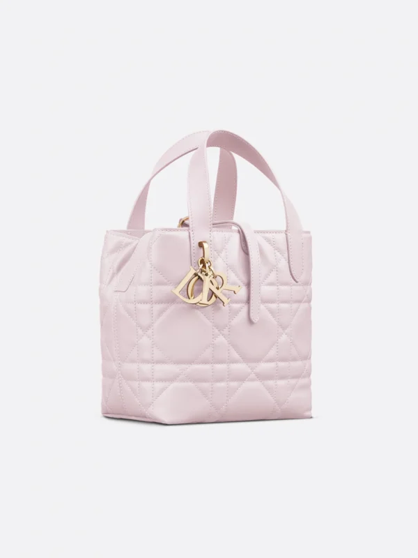 Small Dior Toujours Vertical Tote Bag