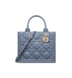 Small Dior Book Tote