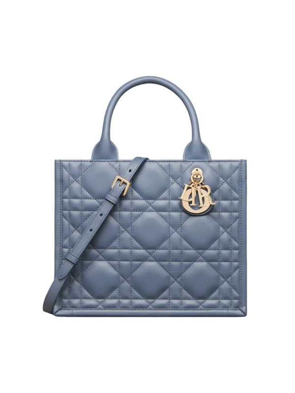 Small Dior Book Tote