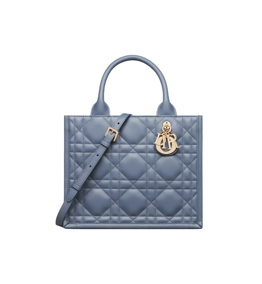 ⁦Small Dior Book Tote⁩ – תמונה ⁦1⁩