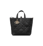 Medium Dior Toujours Vertical Tote Bag