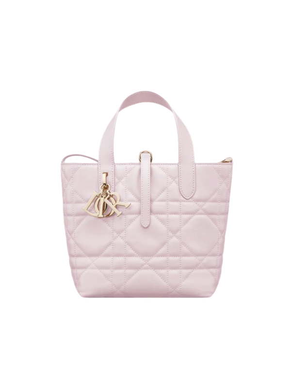 Small Dior Toujours Vertical Tote Bag
