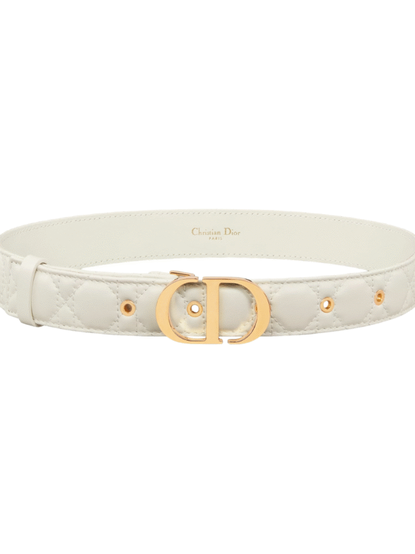 30 Dior Montaigne Belt