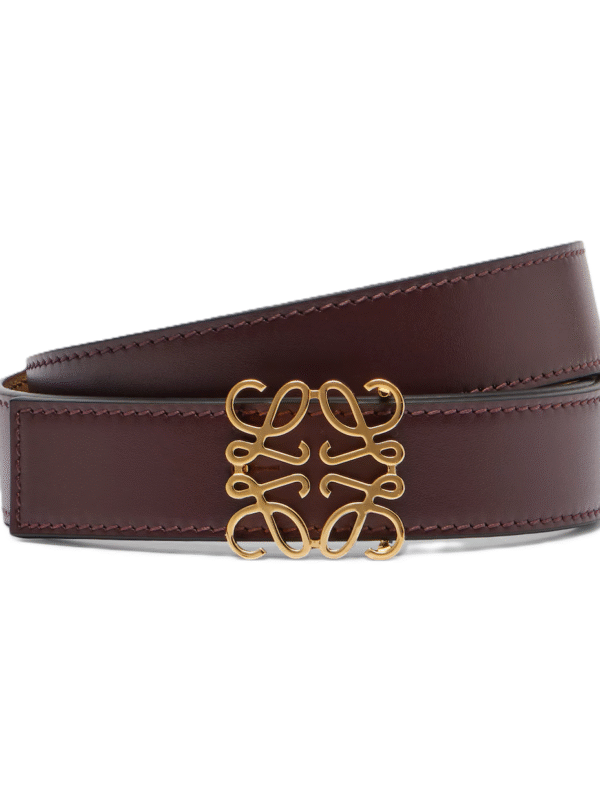LOEWE Belt Gold